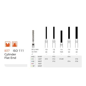 Diamond Dental Burs（C837）