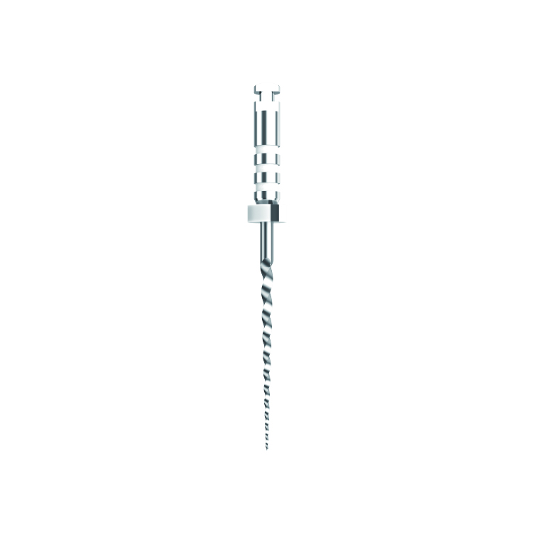 O-file - 图片 4